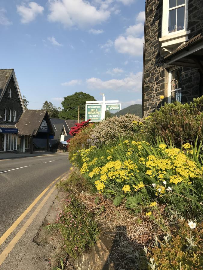 Bryn Llewelyn